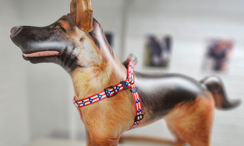 Puerto Rico Step-in Harness