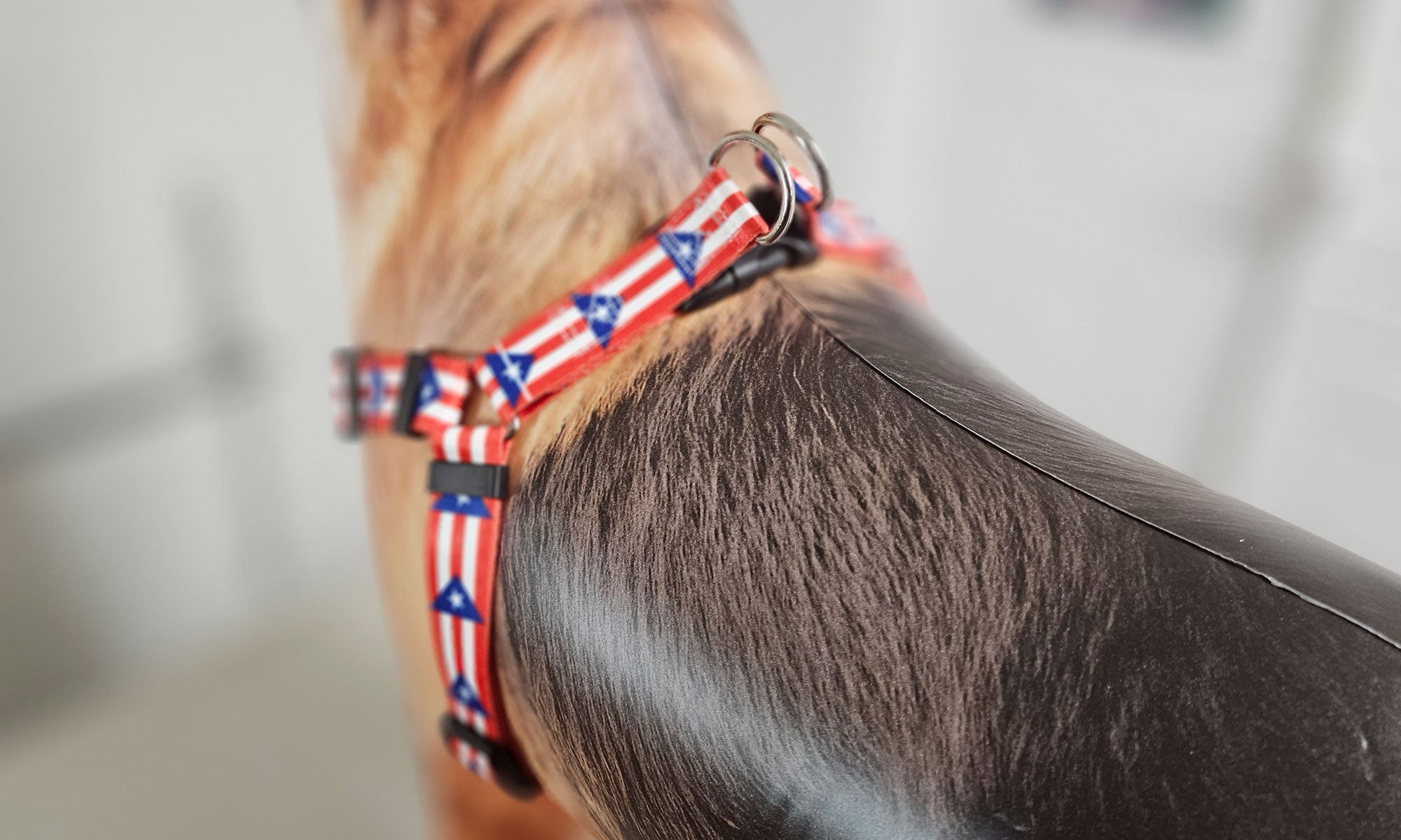 Puerto Rico Step-in Harness