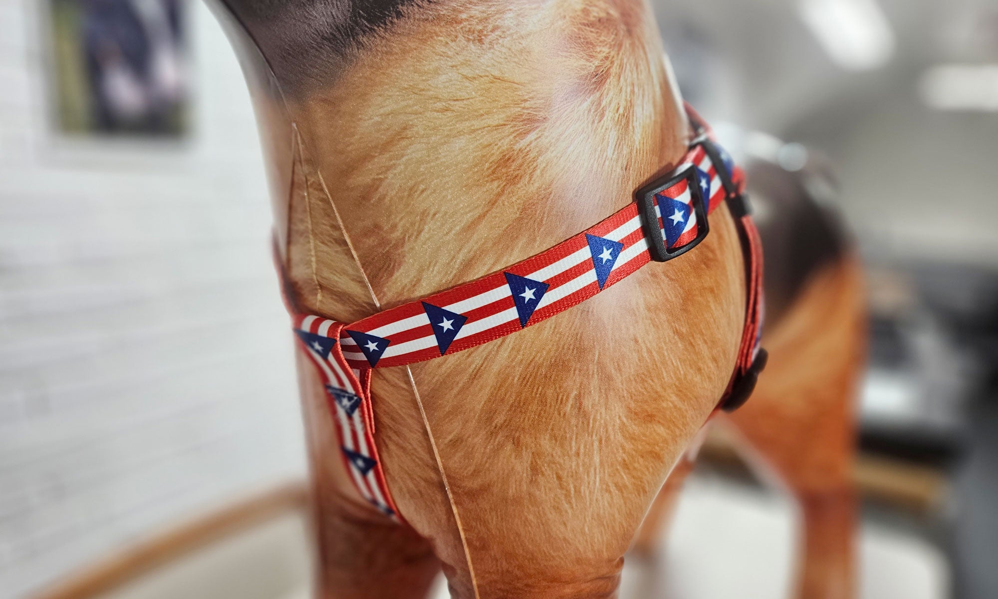 Puerto Rico Step-in Harness