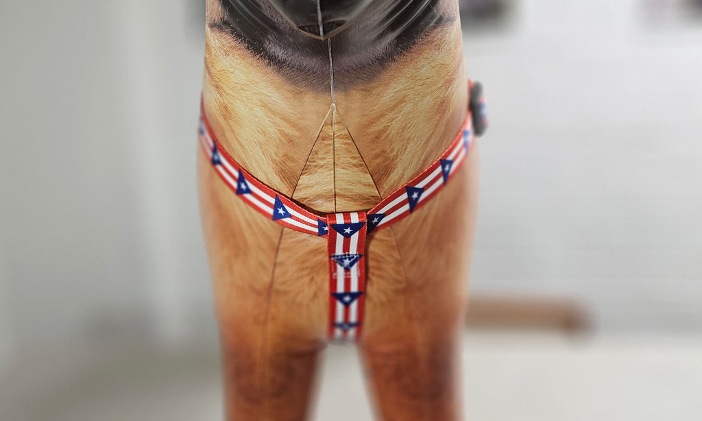 Puerto Rico Step-in Harness