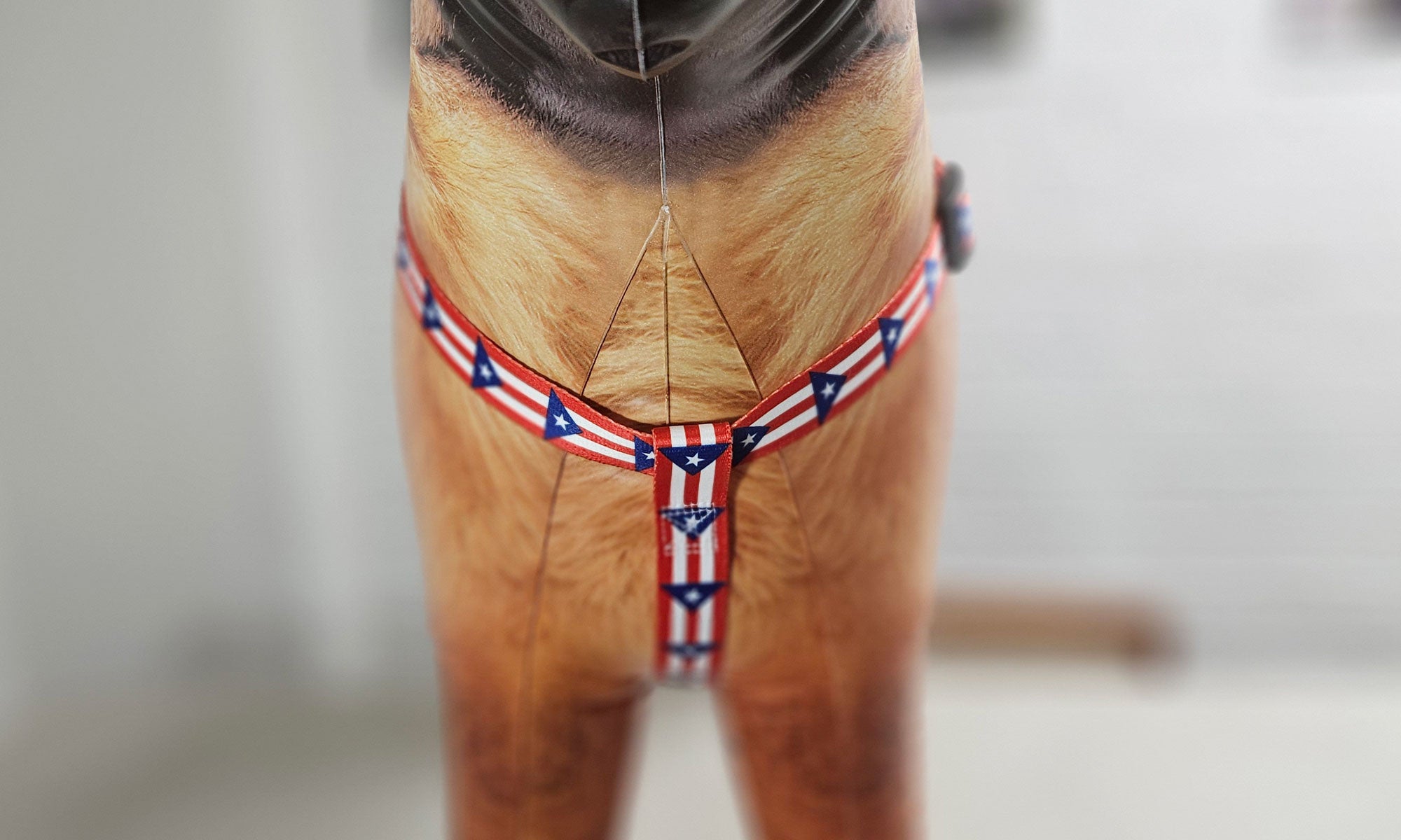 Puerto Rico Step-in Harness