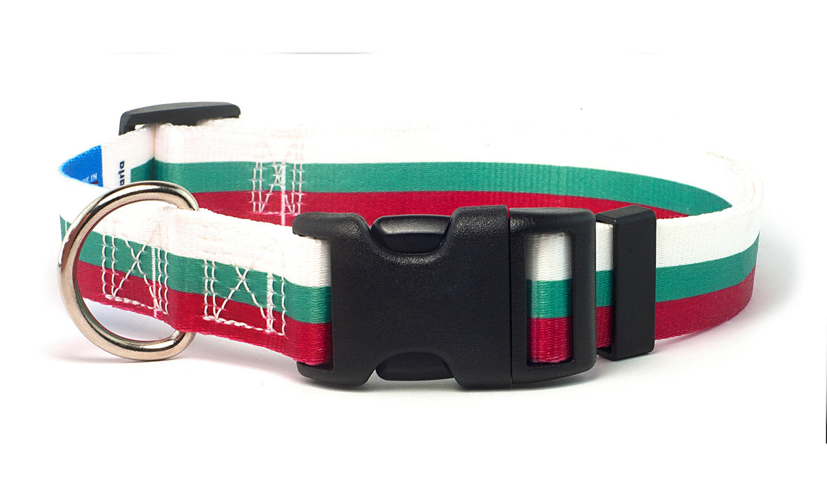 Bulgaria Dog Collar | Quick Release or Martingale Style | Made in NJ, USA