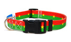 Burkina Faso Dog Collar | Quick Release or Martingale Style