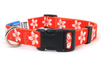 Hong Kong Dog Collar | Quick Release or Martingale Style