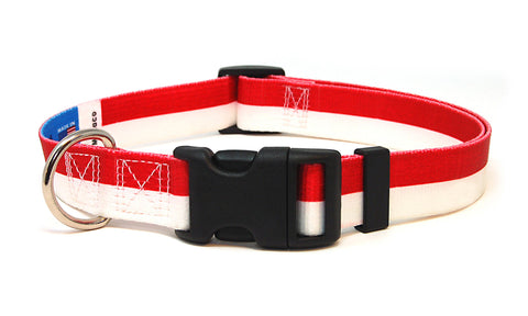 Monaco Dog Collar | Quick Release or Martingale Style | Made in NJ, USA