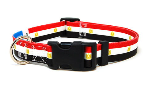 Egypt Dog Collar | Quick Release or Martingale Style | Made in NJ, USA