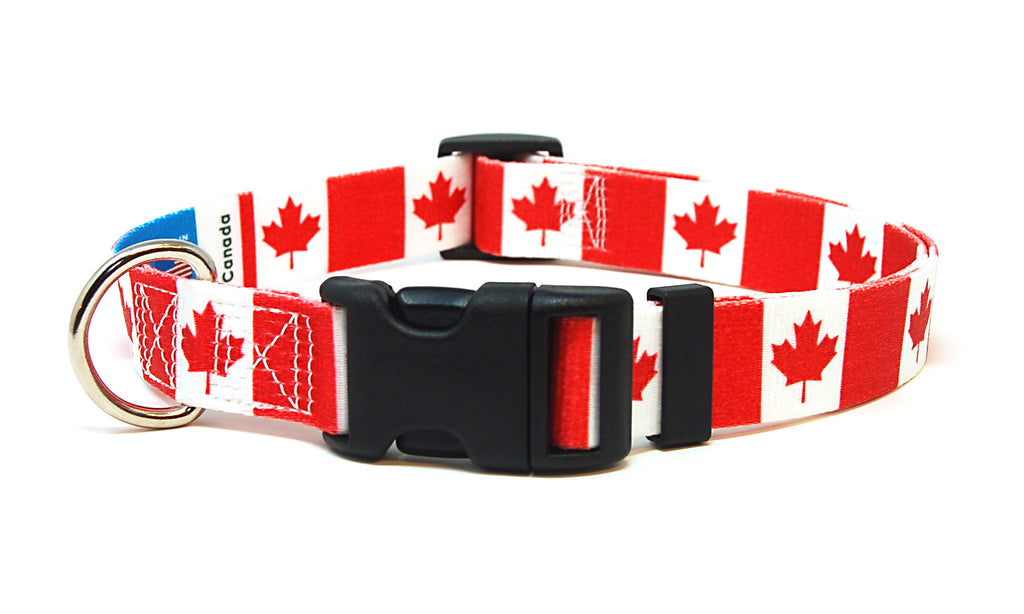 Canada Dog Collar | Quick Release or Martingale Style