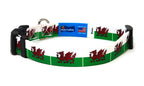 Wales Dog Collar | Quick Release or Martingale Style