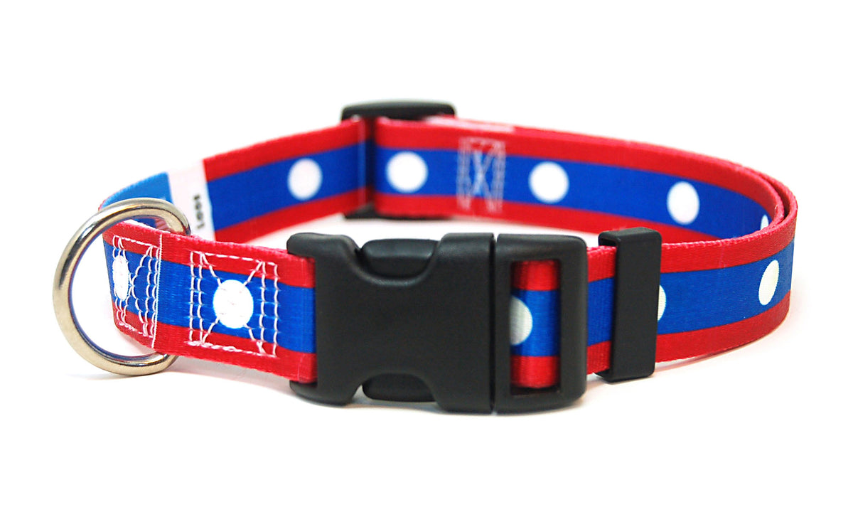 Laos Dog Collar | Quick Release or Martingale Style | Made in NJ, USA