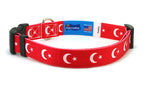 Turkey Dog Collar | Quick Release or Martingale Style