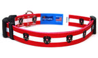 Austria Dog Collar | Quick Release or Martingale Style