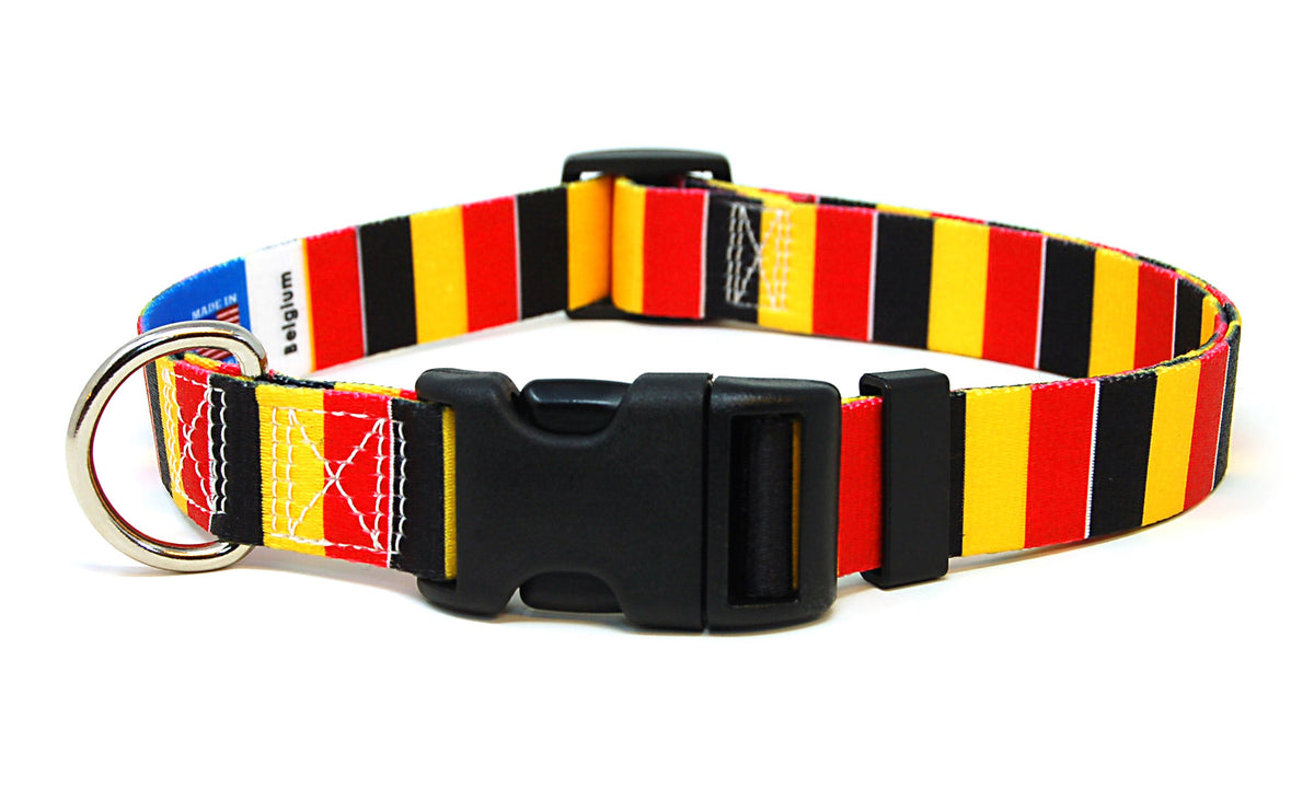 Belgium Dog Collar | Quick Release or Martingale Style | Made in NJ, USA