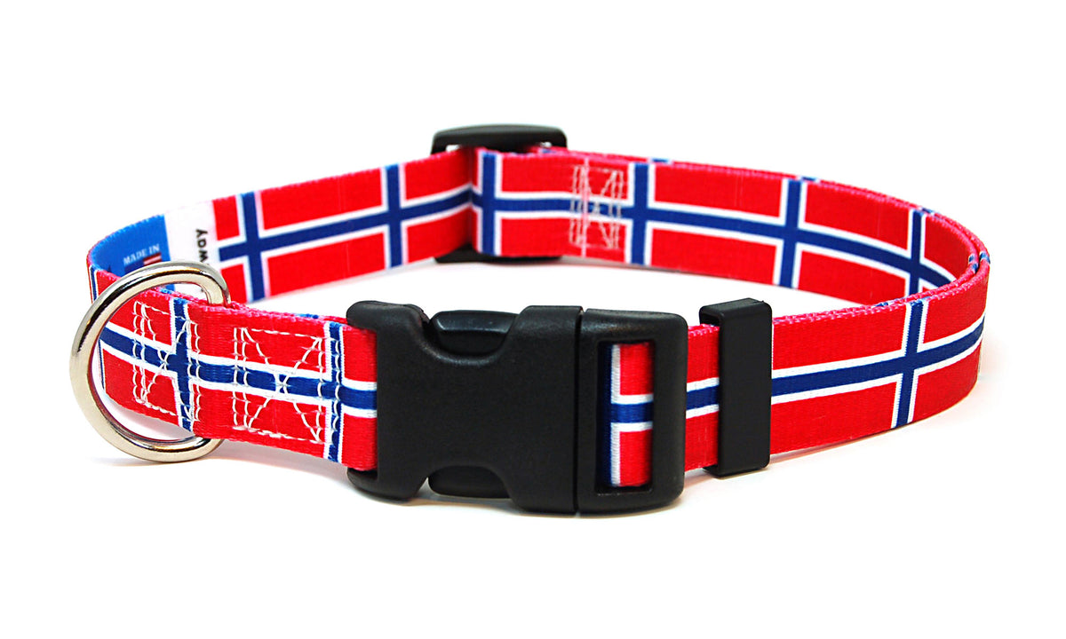 Norway Dog Collar | Quick Release or Martingale Style | Made in NJ, USA