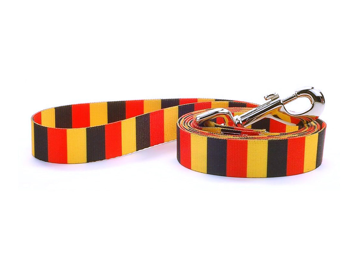 Belgium Dog Leash | 4 Foot and 6 Foot Lengths | Made in USA