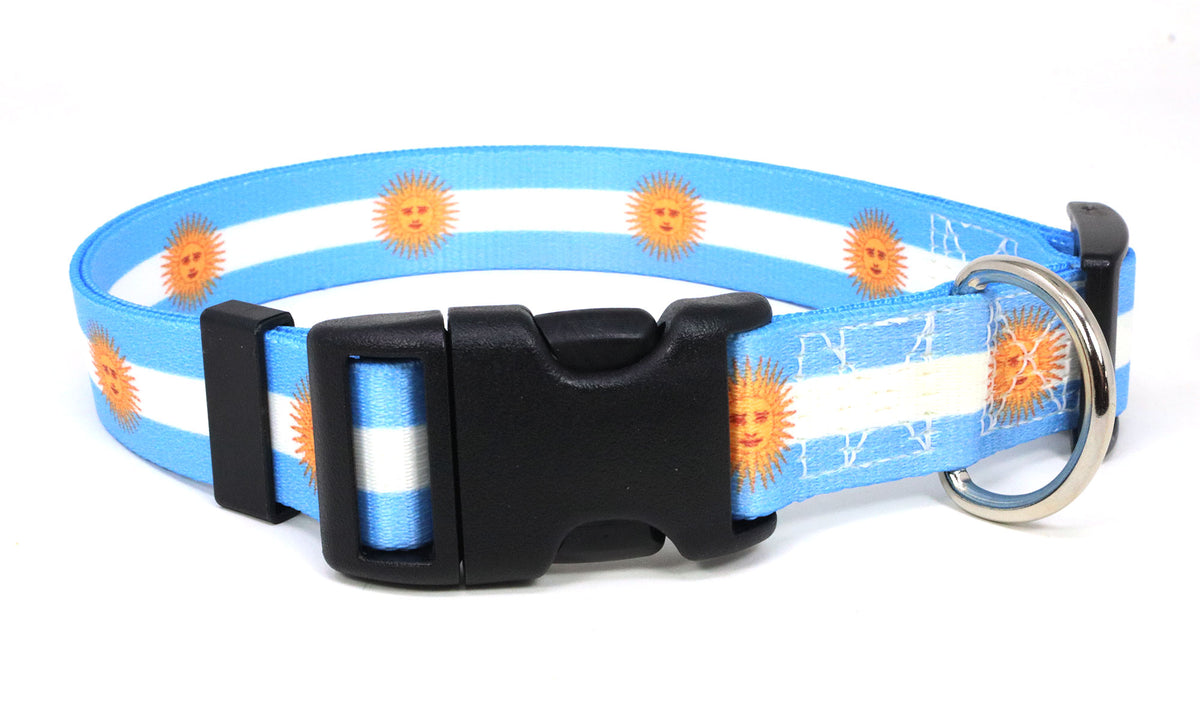 Argentina Dog Collar | Quick Release or Martingale Style | Made in NJ, USA