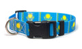 Kazakhstan Dog Collar | Quick Release or Martingale Style
