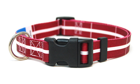 Latvia Dog Collar | Quick Release or Martingale Style | Made in NJ, USA