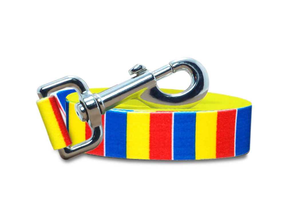 Chad Dog Leash | 4 Foot and 6 Foot Lengths