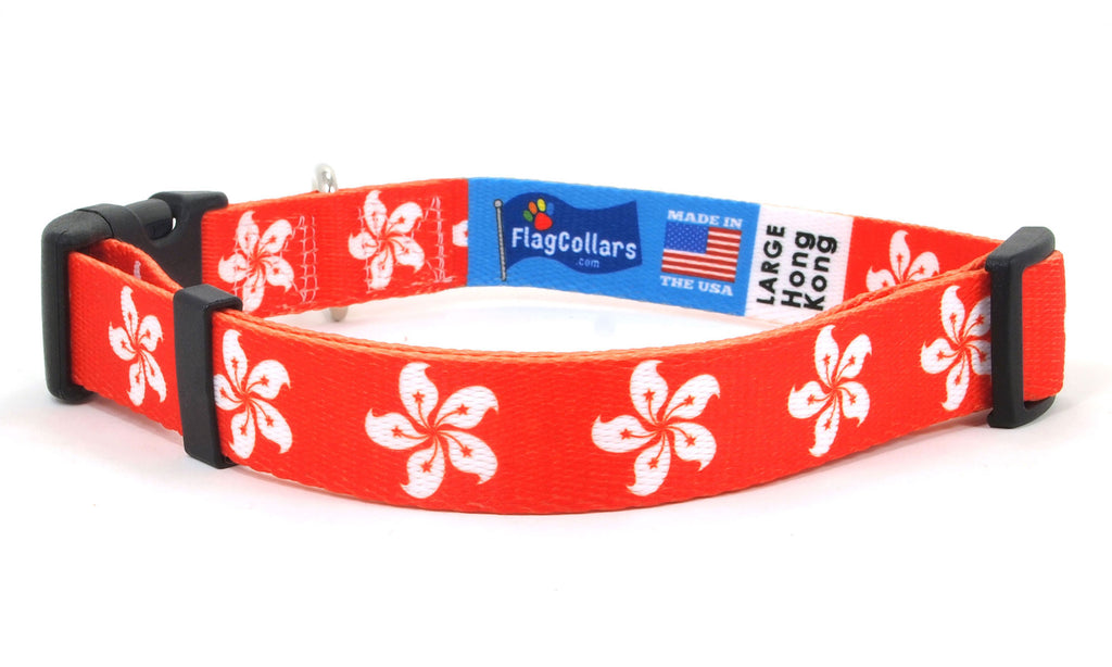 Hong Kong Dog Collar | Quick Release or Martingale Style