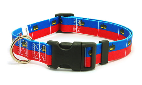 Liechtenstein Dog Collar | Quick Release or Martingale Style | Made in NJ, USA