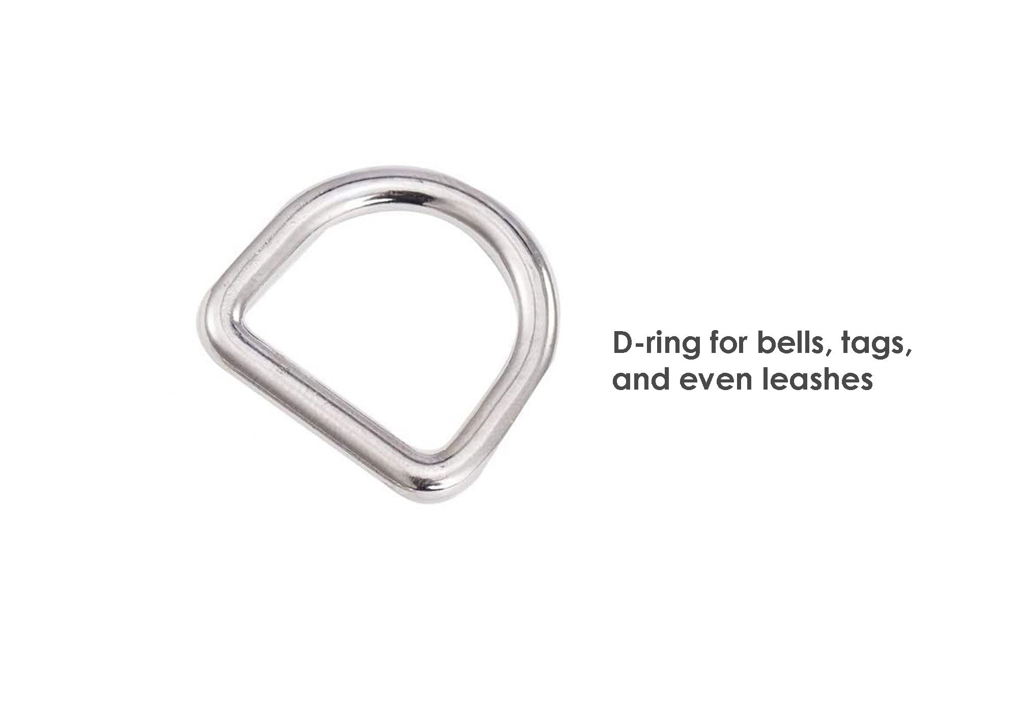 Argentina Cat Collar | Great For National Holidays, Festivals, Parades, Sporting Events, Pride Events