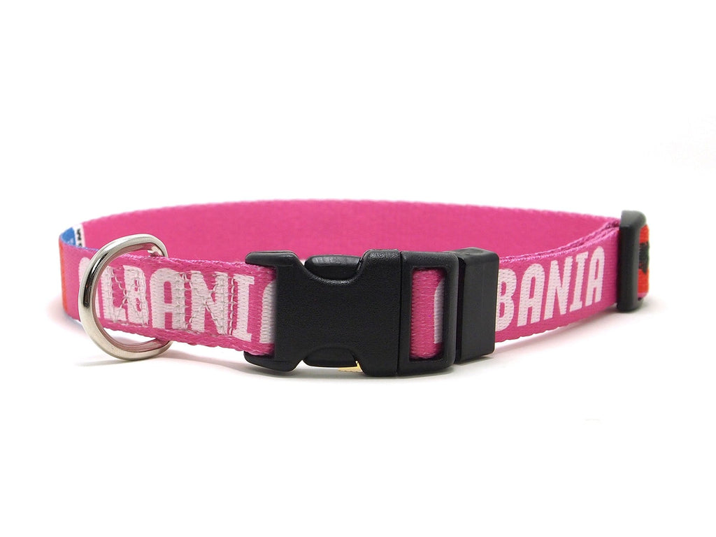 Pink Albanian Dog Collar with Albania Name and Flag