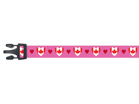 Canada Dog Collar with Hearts | I Love Canada