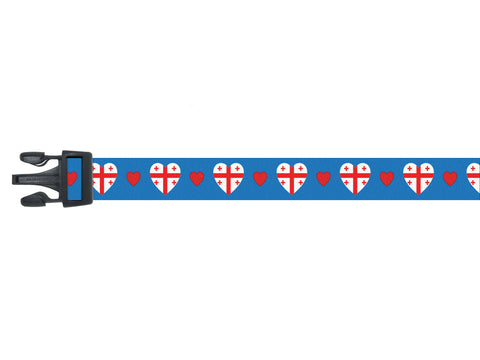 Blue  Dog Collar with Georgia  Hearts Pattern