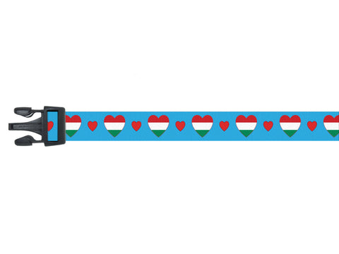Blue Dog Collar with Hungary Hearts Pattern