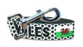 Wales Dog Leash for Soccer Fans  | 6 or 4 Foot