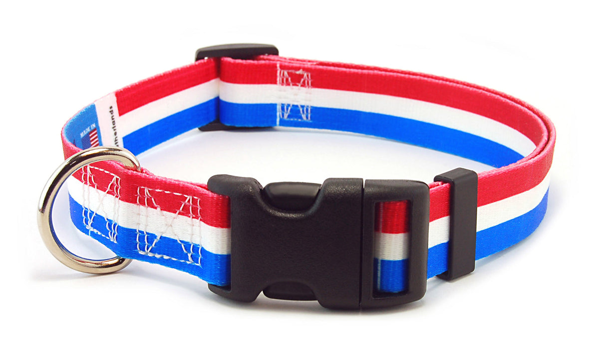Netherlands Dog Collar | Quick Release or Martingale Style | Made in NJ, USA