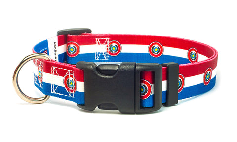 Paraguay Dog Collar | Quick Release or Martingale Style | Made in NJ, USA
