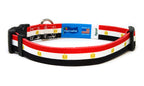 Egypt Dog Collar | Quick Release or Martingale Style