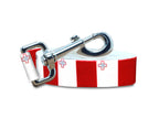 Malta Dog Leash | 4 Foot and 6 Foot Lengths