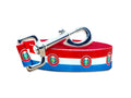 Paraguay Dog Leash | 4 Foot and 6 Foot Lengths