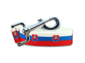 Slovakia Dog Leash | 4 Foot and 6 Foot Lengths
